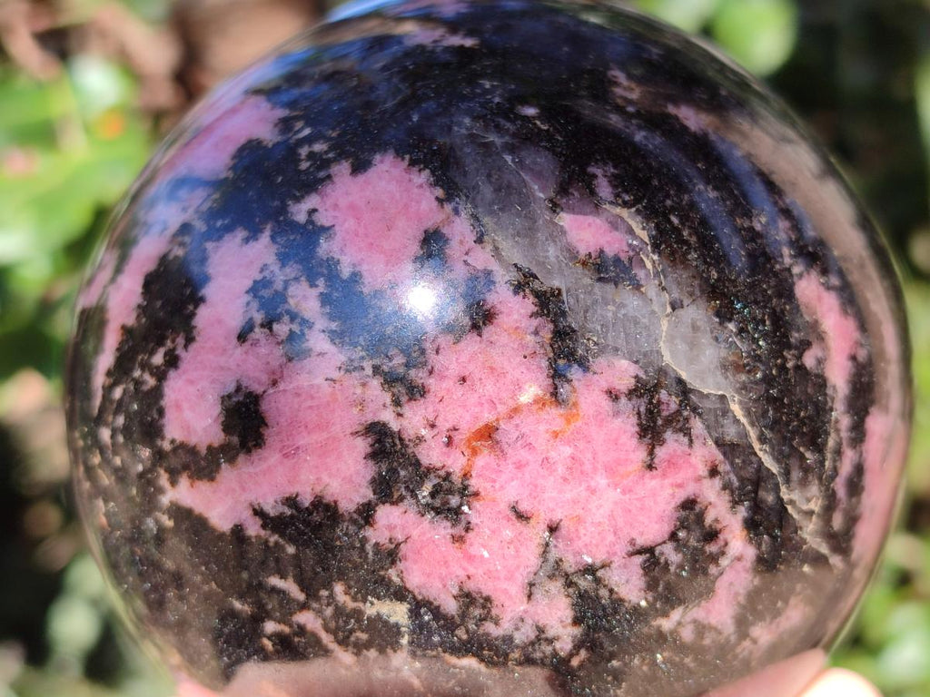 Polished Large Rhodonite Gemstone Sphere x 1 From Ambindavato, Madagascar - Toprock Gemstones and Minerals 