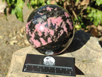 Polished Large Rhodonite Gemstone Sphere x 1 From Ambindavato, Madagascar - Toprock Gemstones and Minerals 