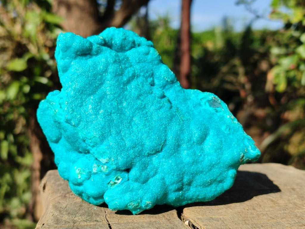 Natural Botryoidal Chrysocolla Specimens x 3 From Kulukuluku, Congo