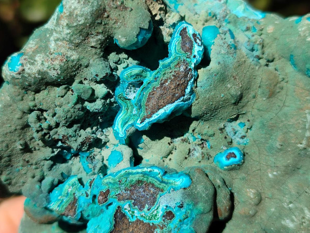 Natural Botryoidal Chrysocolla Specimens x 3 From Kulukuluku, Congo