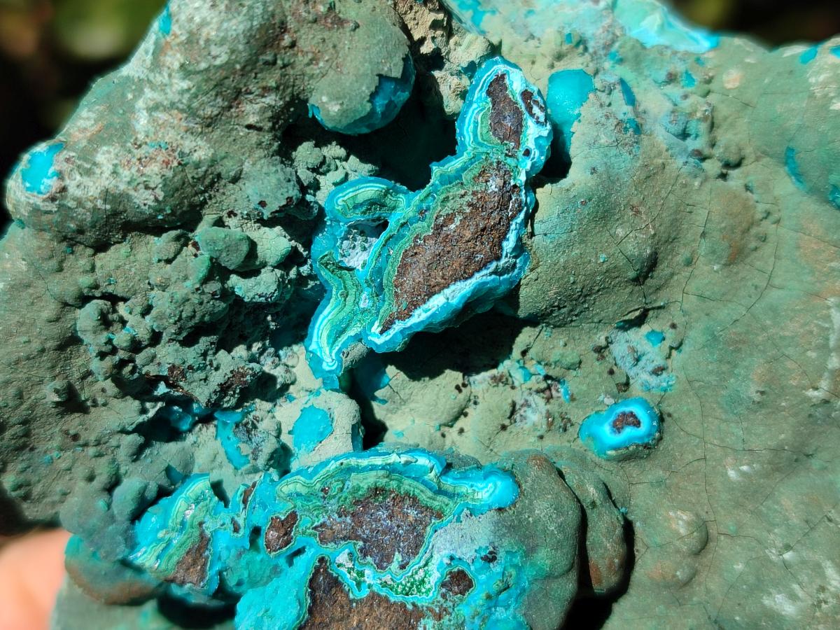 Natural Botryoidal Chrysocolla Specimens x 3 From Kulukuluku, Congo