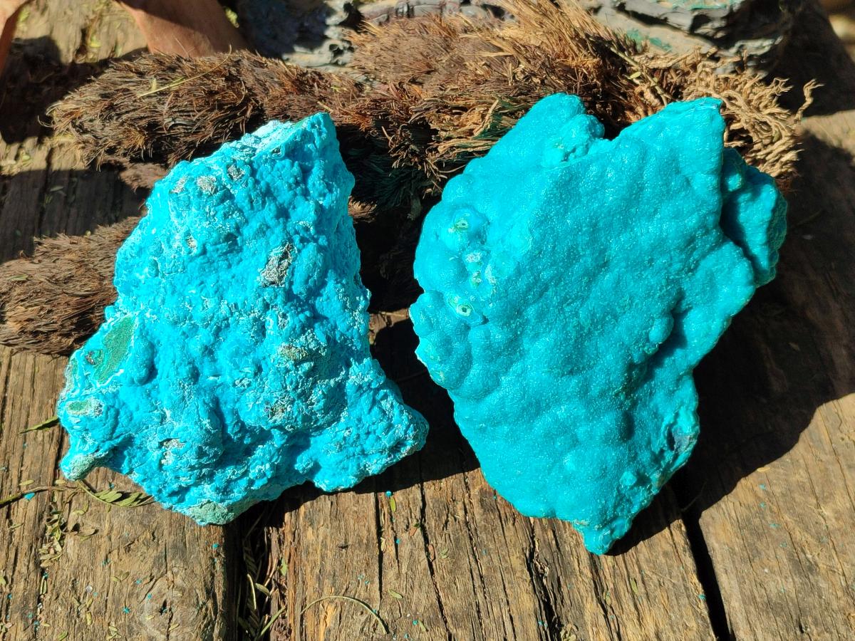 Natural Botryoidal Chrysocolla Specimens x 3 From Kulukuluku, Congo