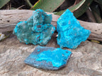 Natural Botryoidal Chrysocolla Specimens x 3 From Kulukuluku, Congo