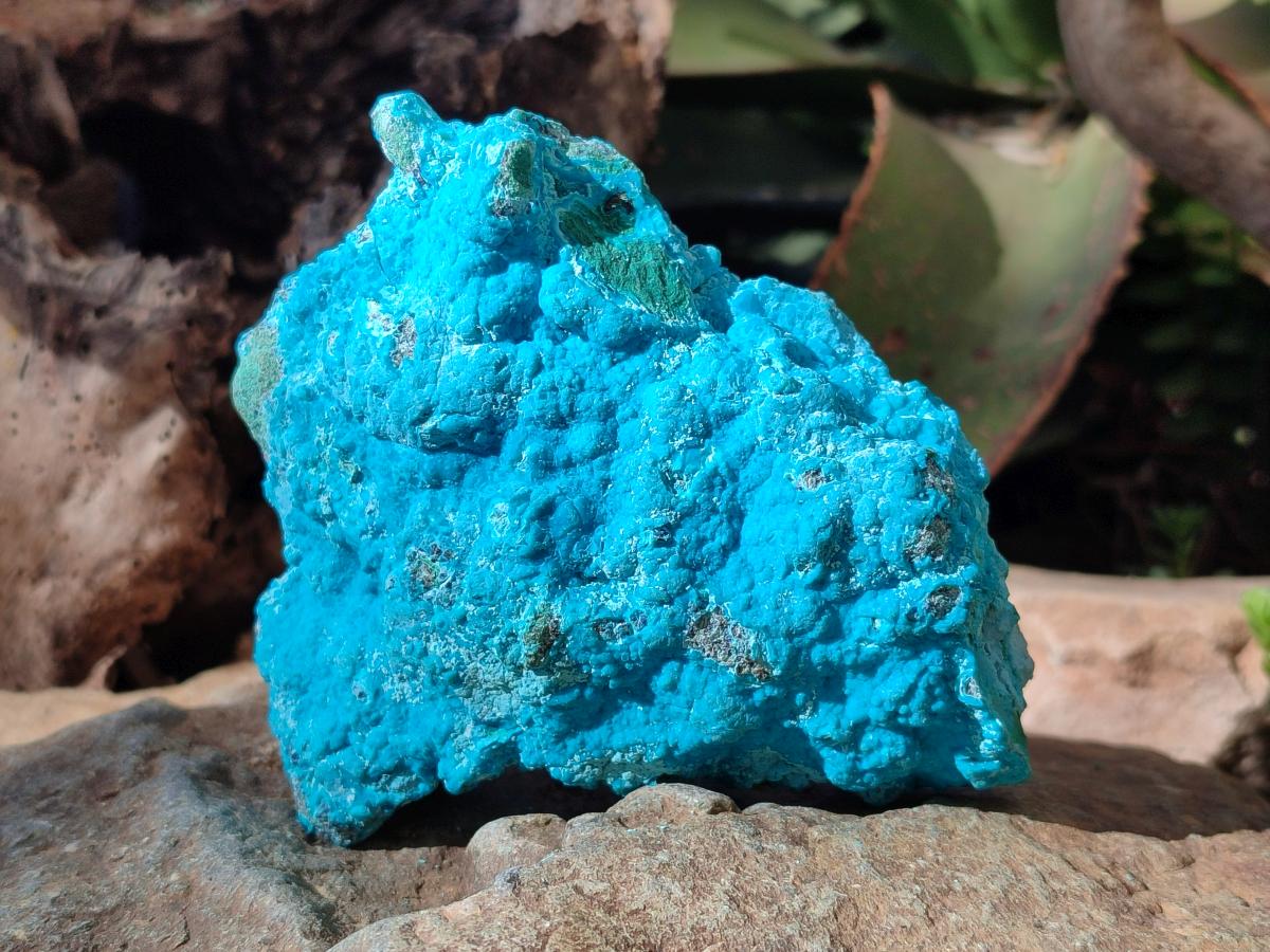 Natural Botryoidal Chrysocolla Specimens x 3 From Kulukuluku, Congo