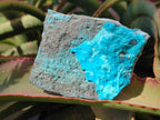 Natural Botryoidal Chrysocolla Specimens x 3 From Kulukuluku, Congo