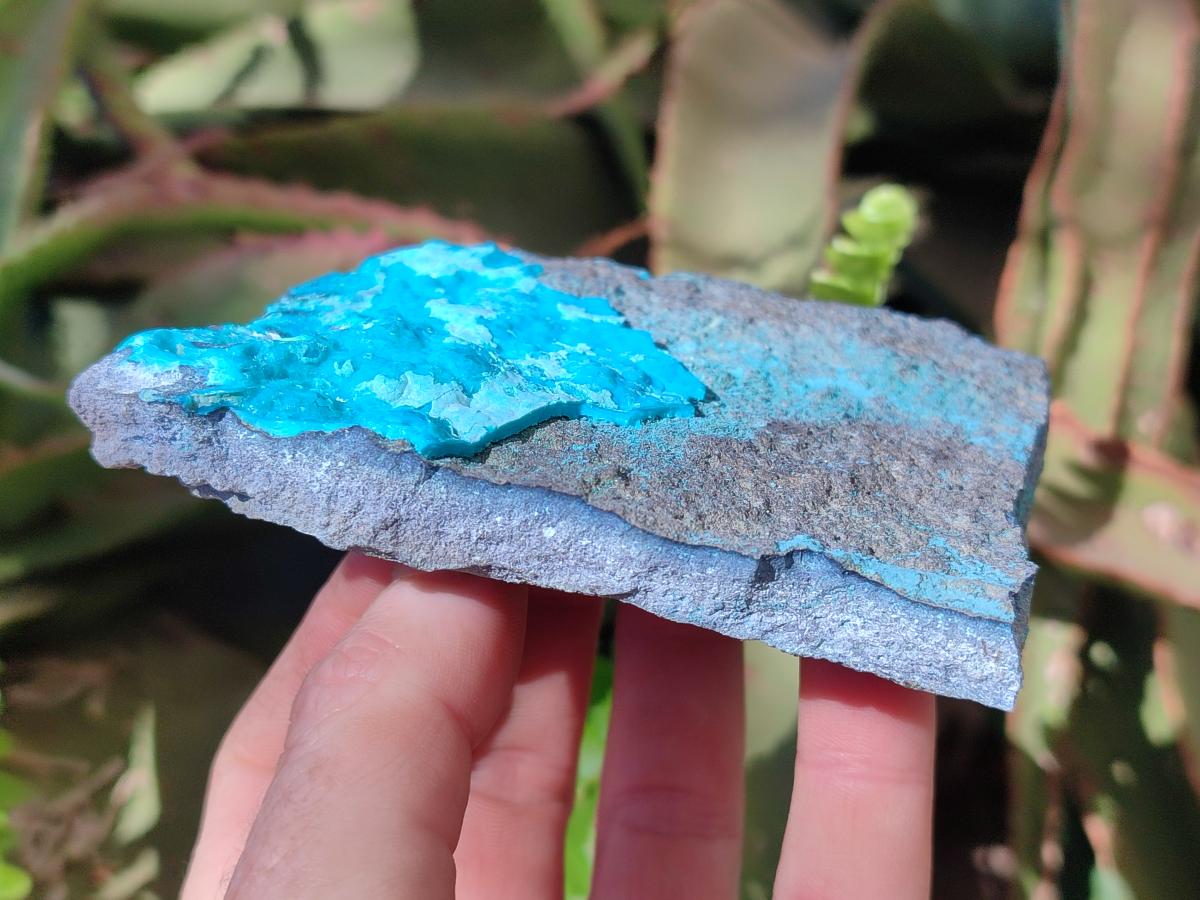 Natural Botryoidal Chrysocolla Specimens x 3 From Kulukuluku, Congo
