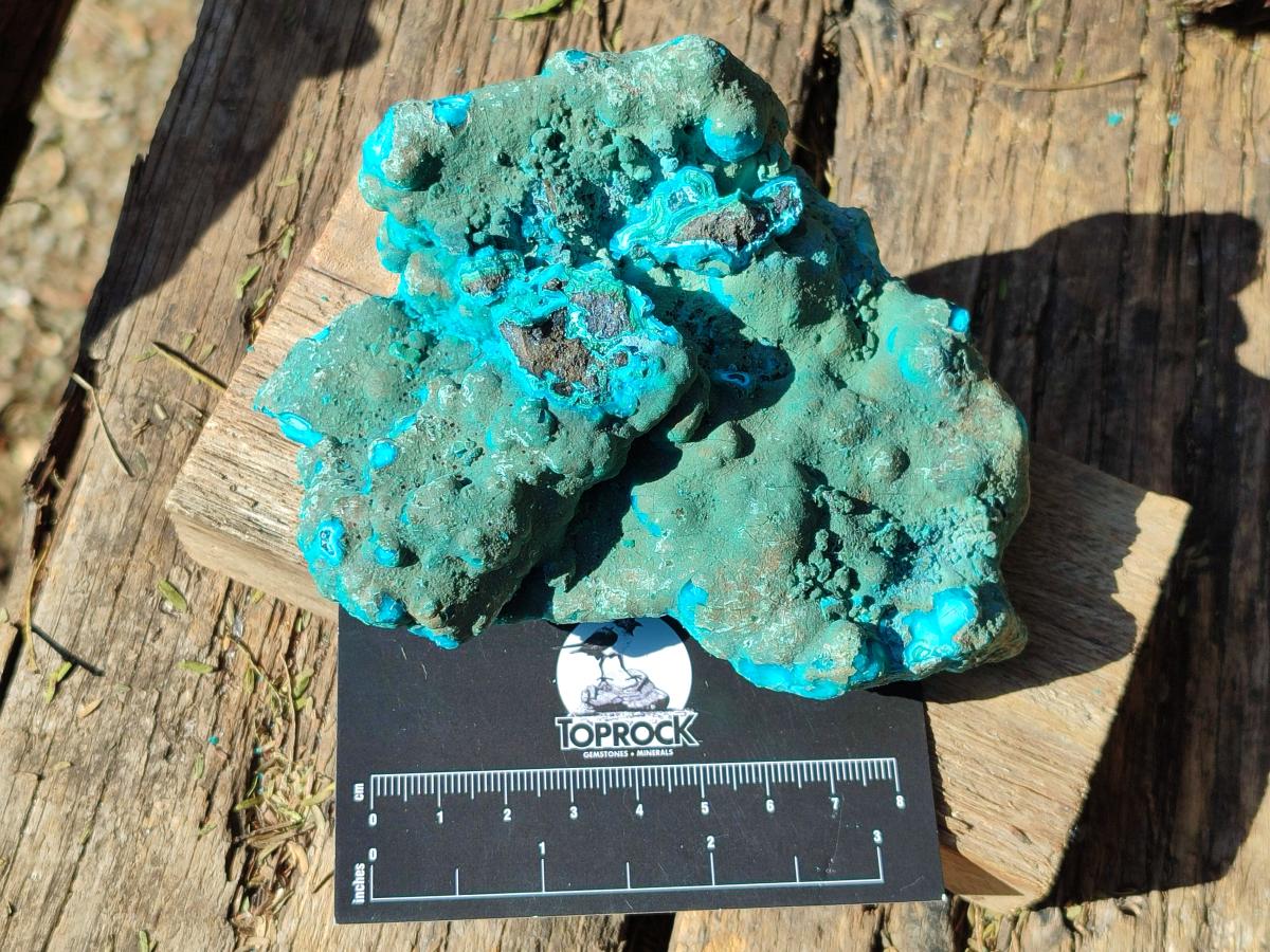 Natural Botryoidal Chrysocolla Specimens x 3 From Kulukuluku, Congo