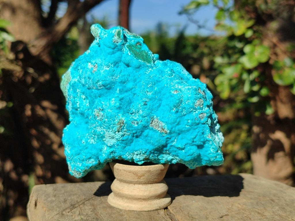 Natural Botryoidal Chrysocolla Specimens x 3 From Kulukuluku, Congo