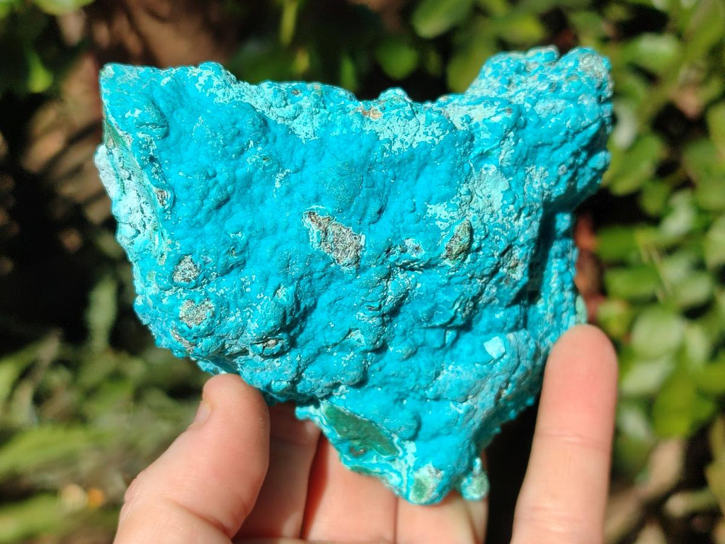 Natural Botryoidal Chrysocolla Specimens x 3 From Kulukuluku, Congo