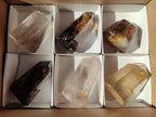 Polished Smokey and Clear Window Quartz Display Crystals x 6 From Madagascar