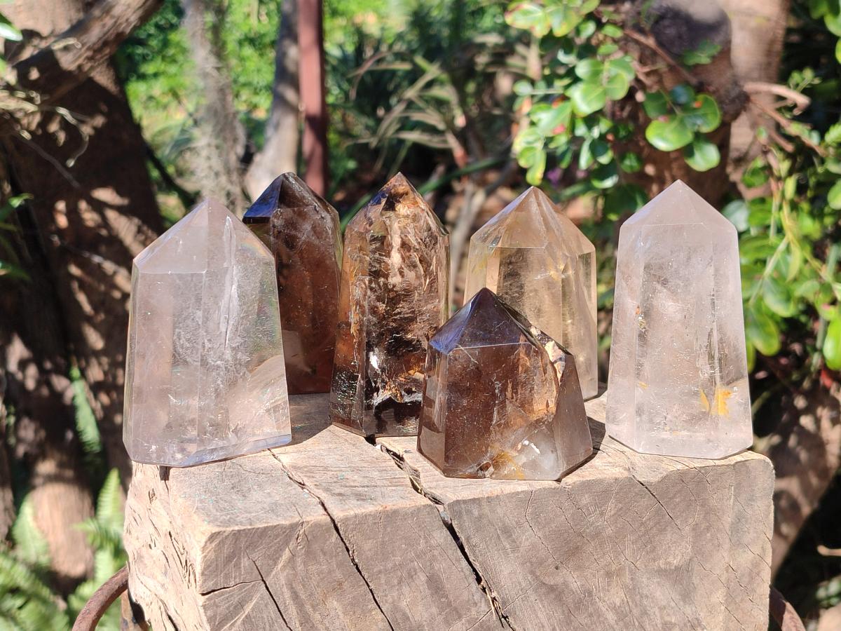 Polished Smokey and Clear Window Quartz Display Crystals x 6 From Madagascar