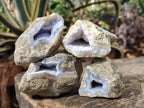 Natural Blue Lace Agate Geode Specimens x 24 From Nsanje, Malawi