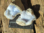 Natural Blue Lace Agate Geode Specimens x 24 From Nsanje, Malawi