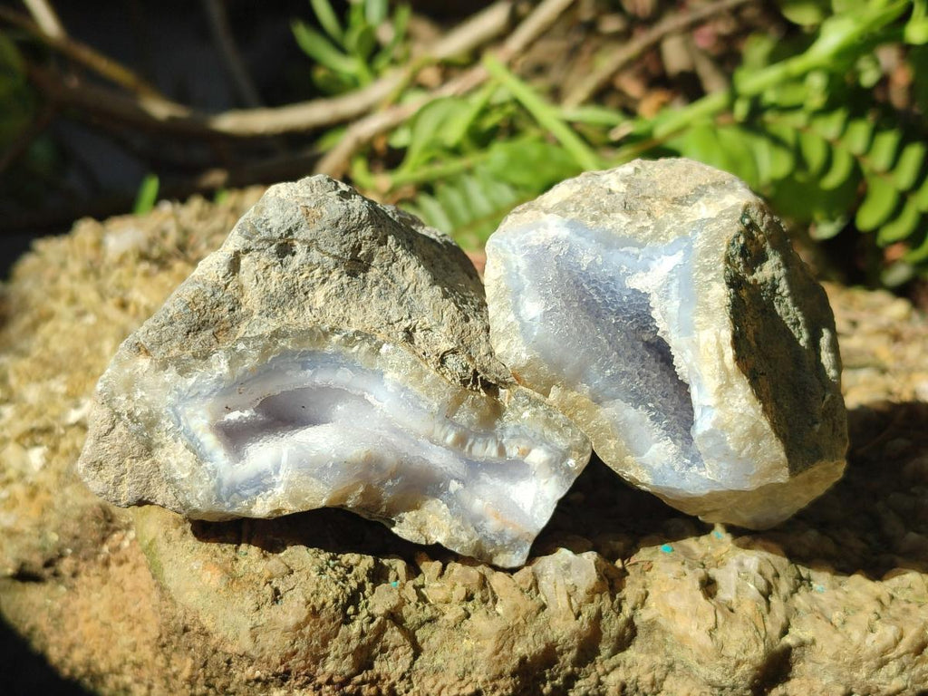 Natural Blue Lace Agate Geode Specimens x 24 From Nsanje, Malawi