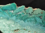 Polished One Side Great Dyke Mtorolite Chrysoprase Plates x 6 From Great Dyke Mountain Range, Zimbabwe - Toprock Gemstones and Minerals 