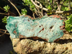 Polished One Side Great Dyke Mtorolite Chrysoprase Plates x 6 From Great Dyke Mountain Range, Zimbabwe - Toprock Gemstones and Minerals 