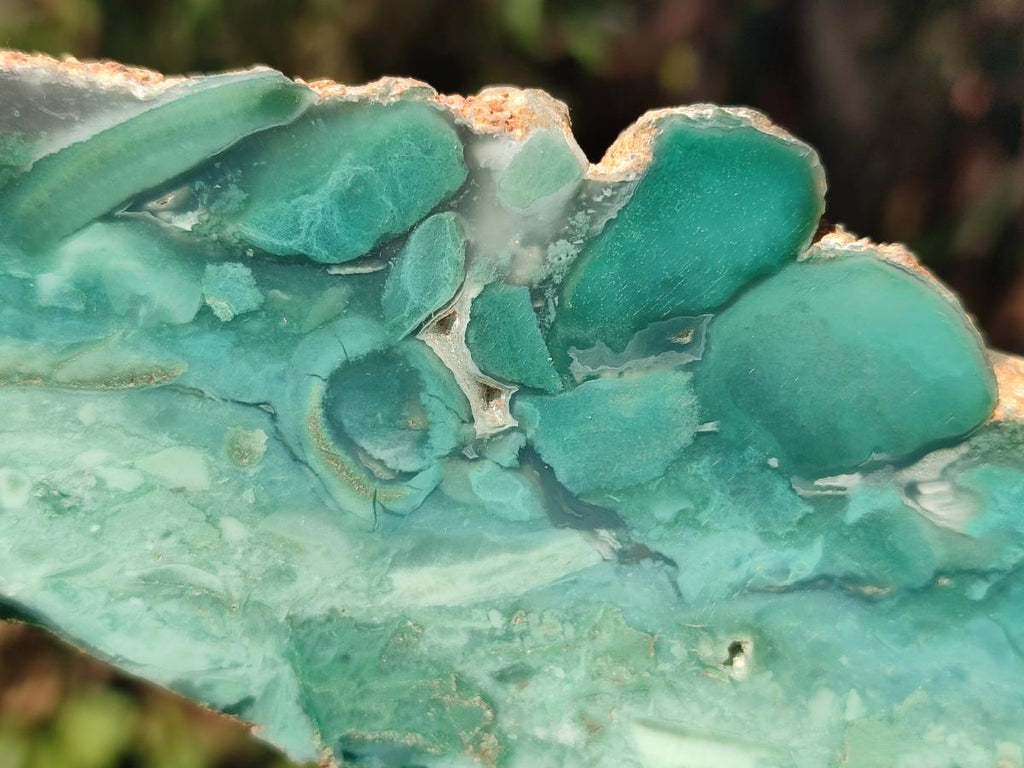 Polished One Side Great Dyke Mtorolite Chrysoprase Plates x 6 From Great Dyke Mountain Range, Zimbabwe - Toprock Gemstones and Minerals 