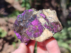 Natural Metallic Cobbed Purpurite Specimens x 12 From Erongo, Namibia