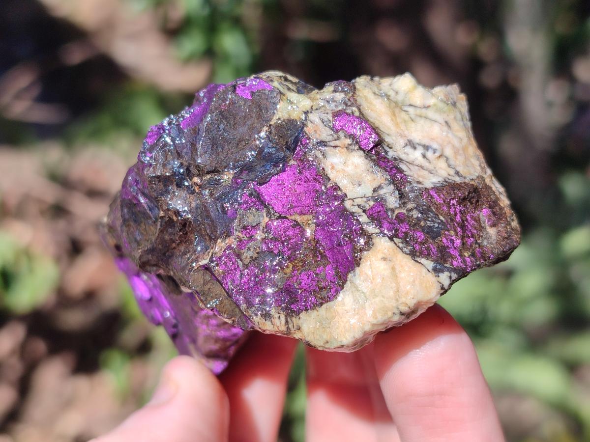 Natural Metallic Cobbed Purpurite Specimens x 12 From Erongo, Namibia