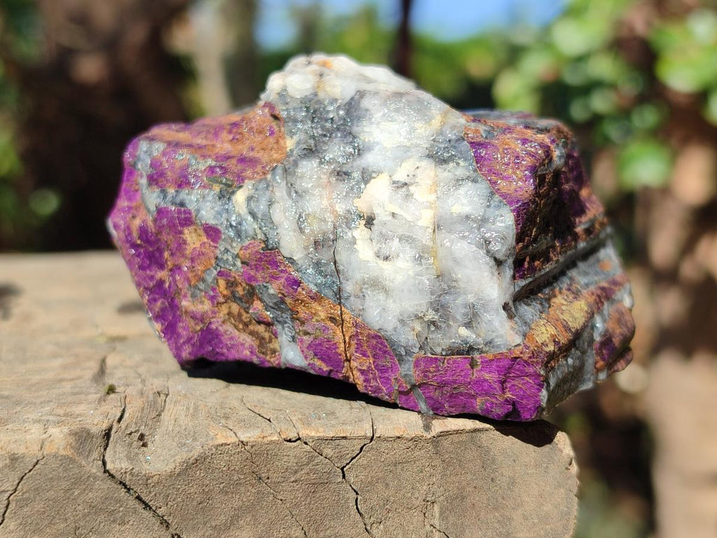 Natural Metallic Cobbed Purpurite Specimens x 12 From Erongo, Namibia