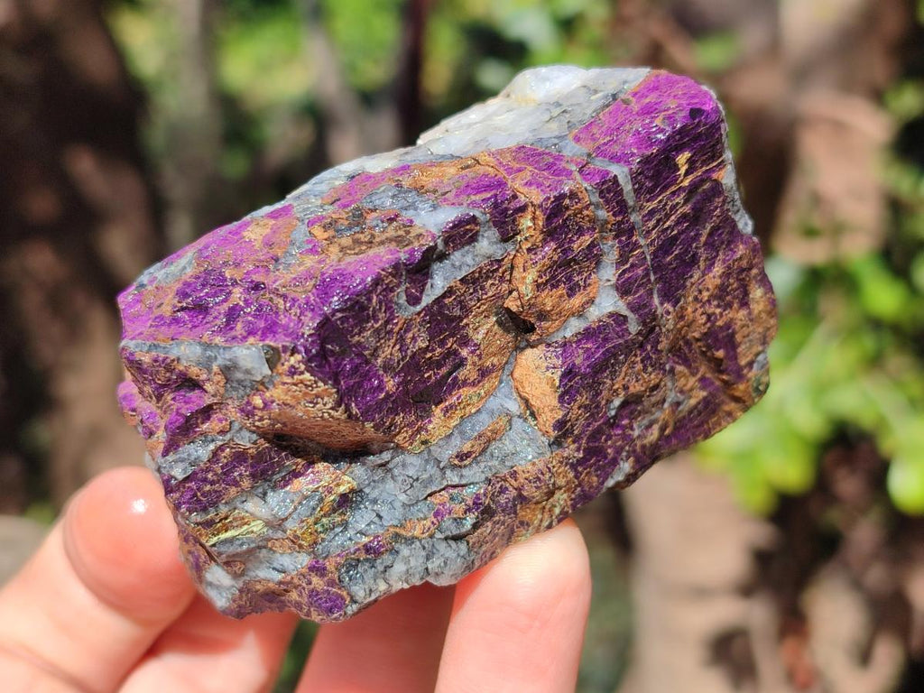 Natural Metallic Cobbed Purpurite Specimens x 12 From Erongo, Namibia