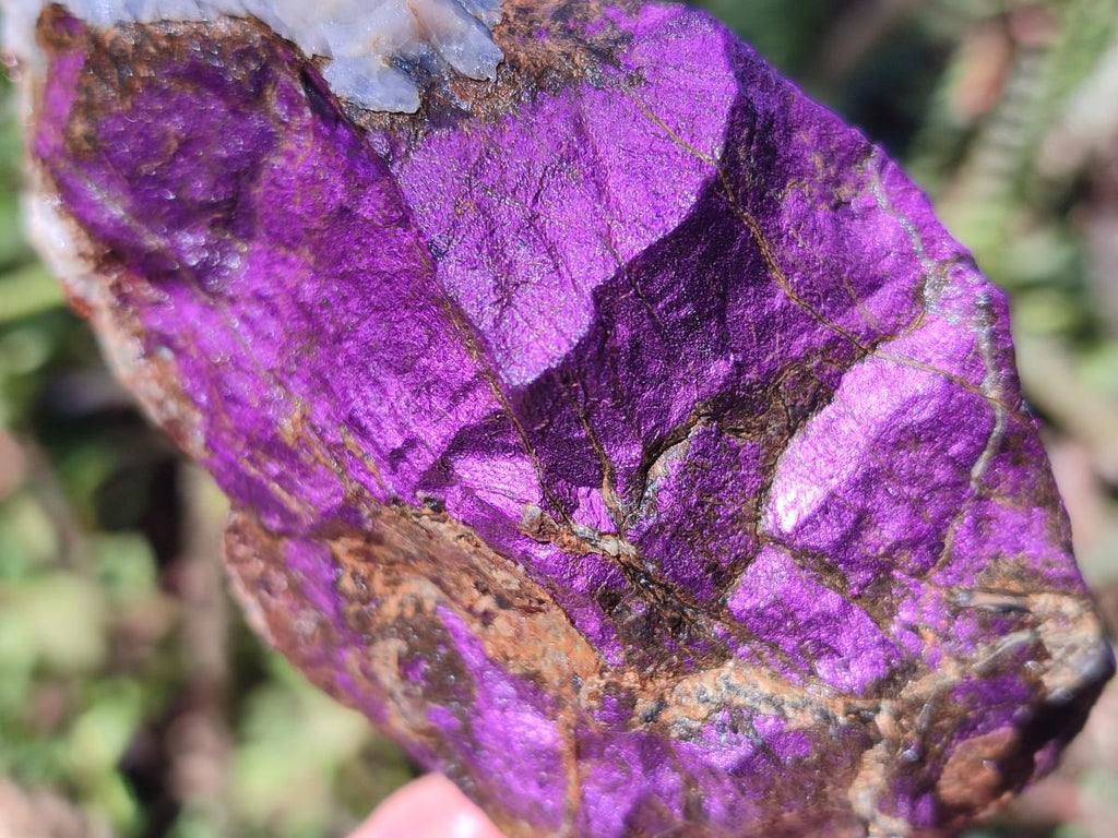 Natural Metallic Cobbed Purpurite Specimens x 12 From Erongo, Namibia
