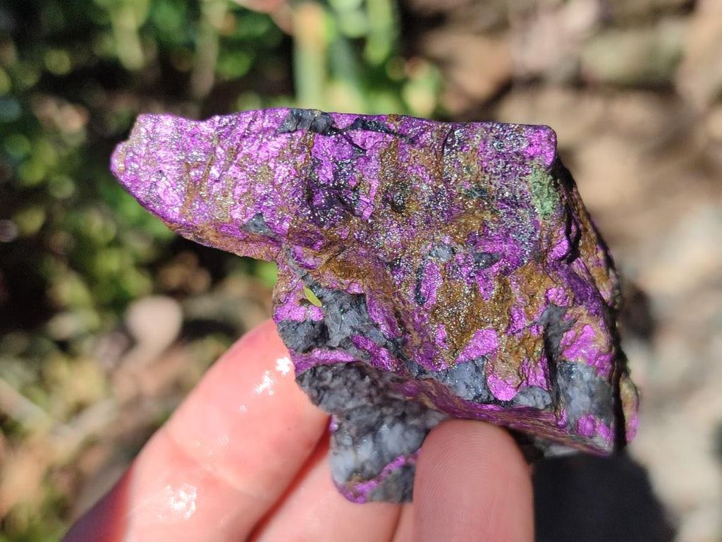 Natural Metallic Cobbed Purpurite Specimens x 12 From Erongo, Namibia