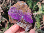 Natural Metallic Cobbed Purpurite Specimens x 12 From Erongo, Namibia