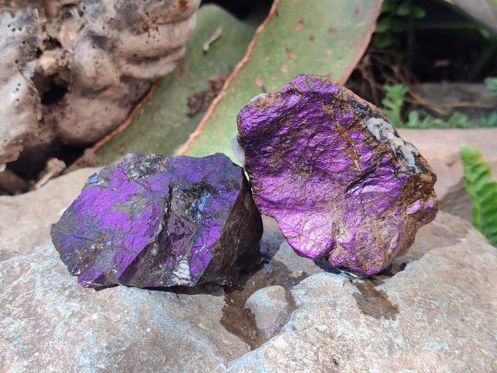 Natural Metallic Cobbed Purpurite Specimens x 12 From Erongo, Namibia