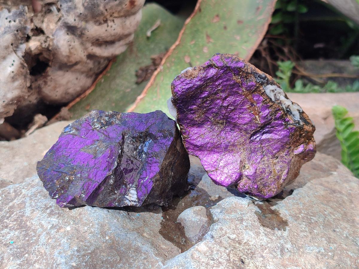 Natural Metallic Cobbed Purpurite Specimens x 12 From Erongo, Namibia