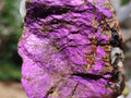 Natural Metallic Cobbed Purpurite Specimens x 12 From Erongo, Namibia