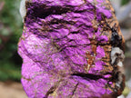 Natural Metallic Cobbed Purpurite Specimens x 12 From Erongo, Namibia