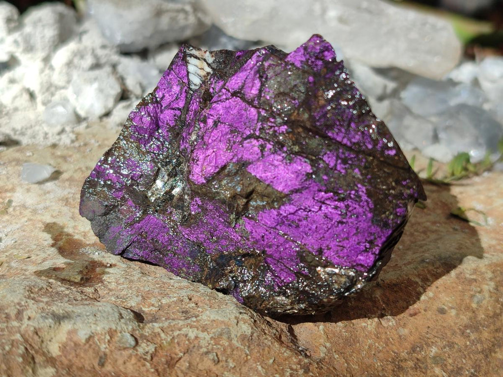 Natural Metallic Cobbed Purpurite Specimens x 12 From Erongo, Namibia