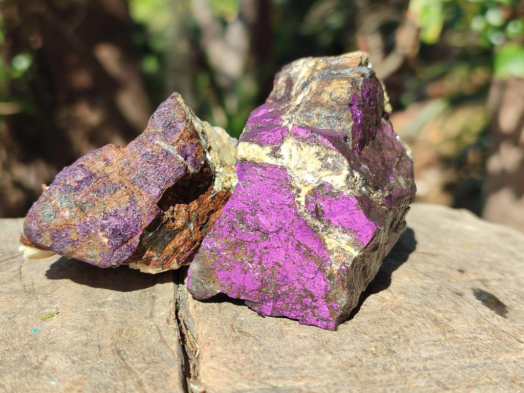 Natural Metallic Cobbed Purpurite Specimens x 12 From Erongo, Namibia