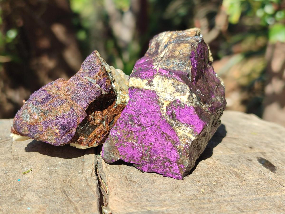Natural Metallic Cobbed Purpurite Specimens x 12 From Erongo, Namibia