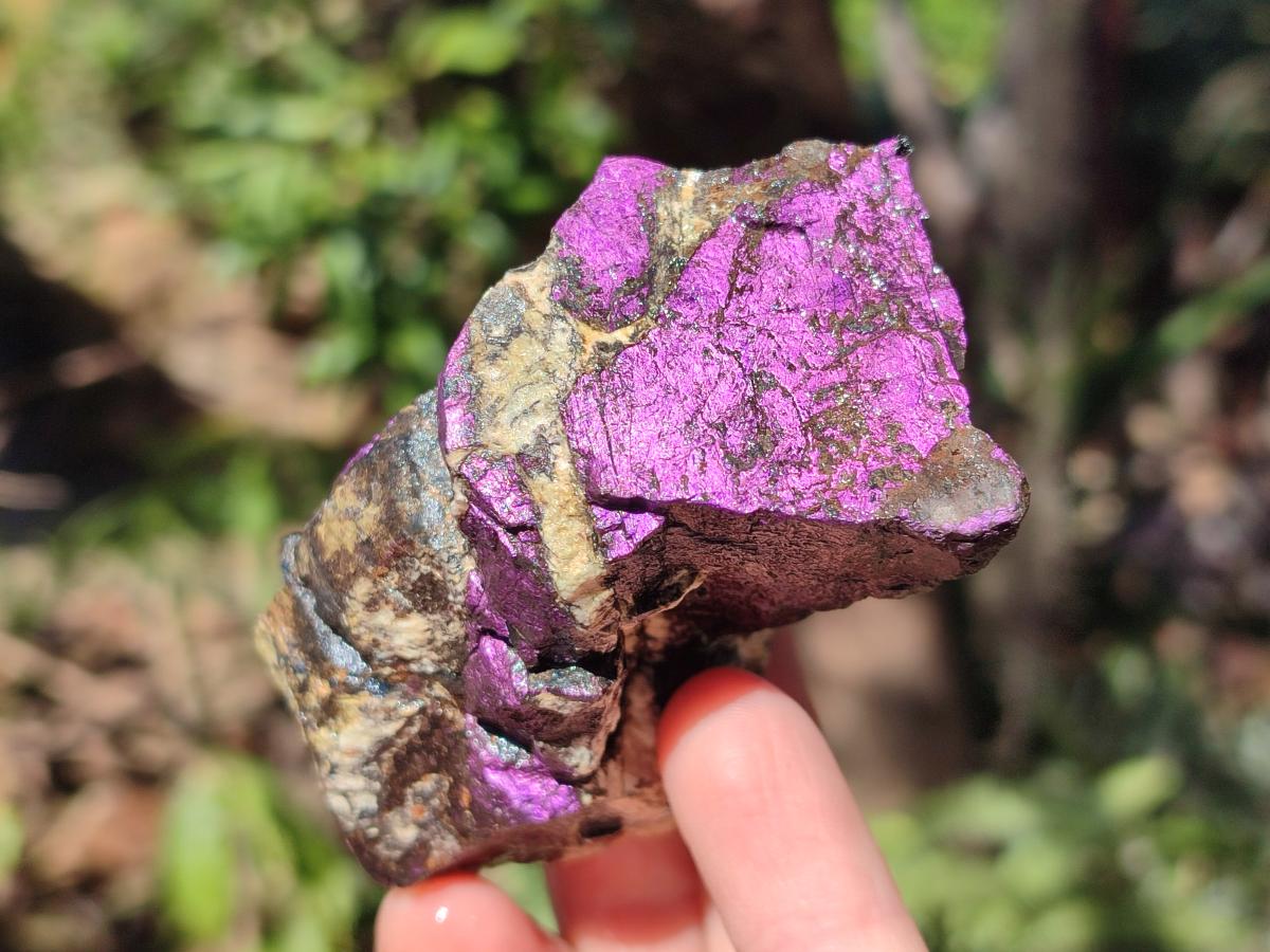 Natural Metallic Cobbed Purpurite Specimens x 12 From Erongo, Namibia