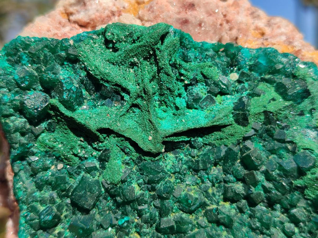 Natural Large Dioptase on Dolomite Specimen x 1 From Mashamba East Mine, Congo