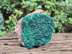 Natural Large Dioptase on Dolomite Specimen x 1 From Mashamba East Mine, Congo