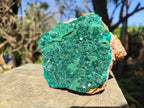 Natural Large Dioptase on Dolomite Specimen x 1 From Mashamba East Mine, Congo