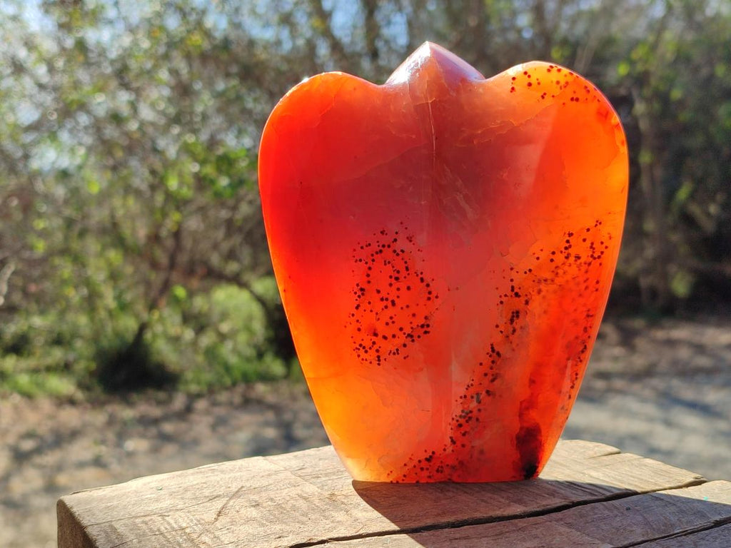 Polished Carnelian Agate Gemstone Heart Shaped Angel Carvings x 2 From Madagascar