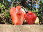 Polished Carnelian Agate Gemstone Heart Shaped Angel Carvings x 2 From Madagascar
