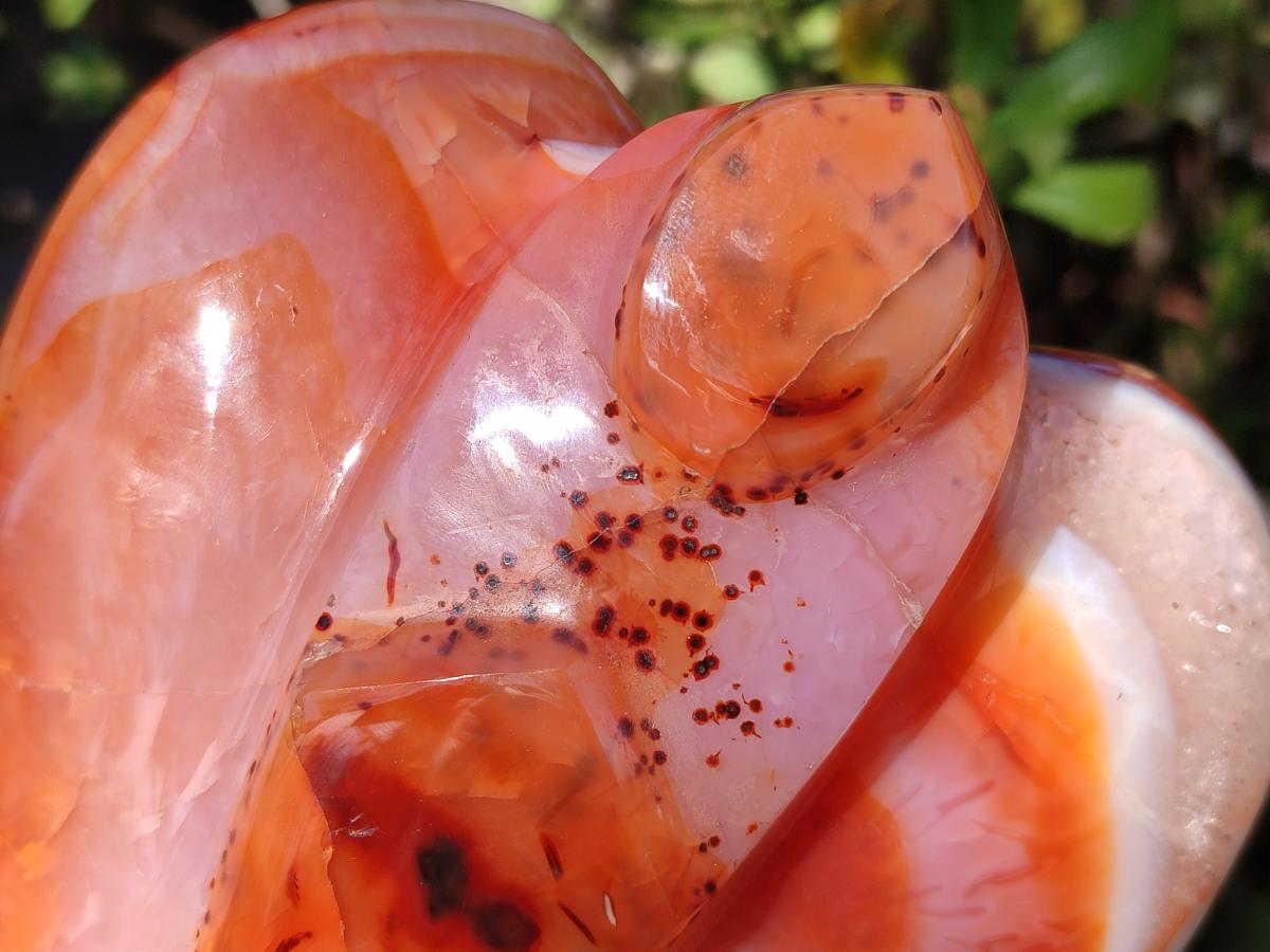Polished Carnelian Agate Gemstone Heart Shaped Angel Carvings x 2 From Madagascar