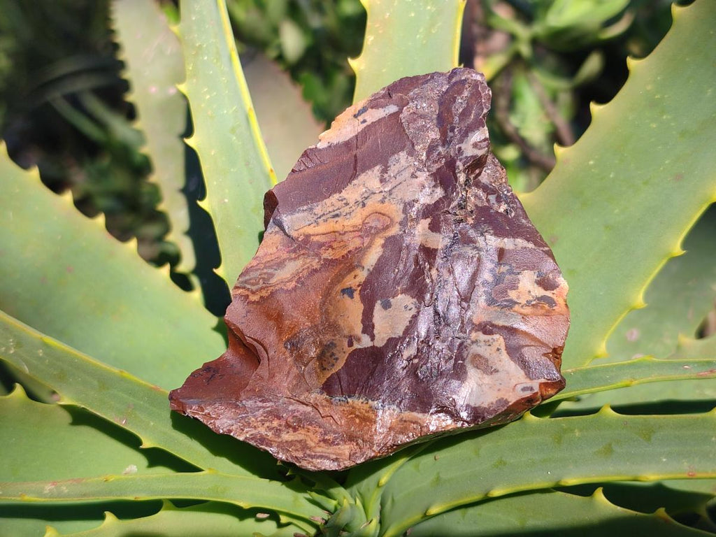 Natural Nguni Jasper Cobbed Specimens x 12 From Northern Cape, South Africa