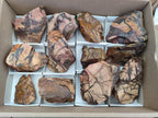 Natural Nguni Jasper Cobbed Specimens x 12 From Northern Cape, South Africa