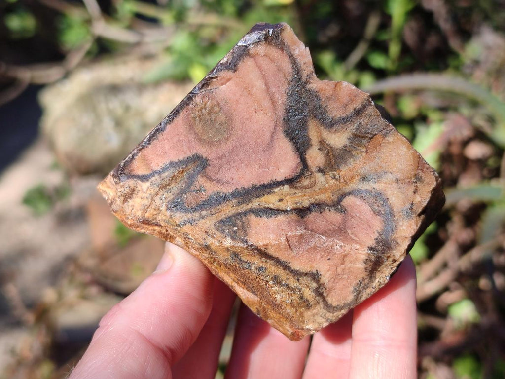 Natural Nguni Jasper Cobbed Specimens x 12 From Northern Cape, South Africa