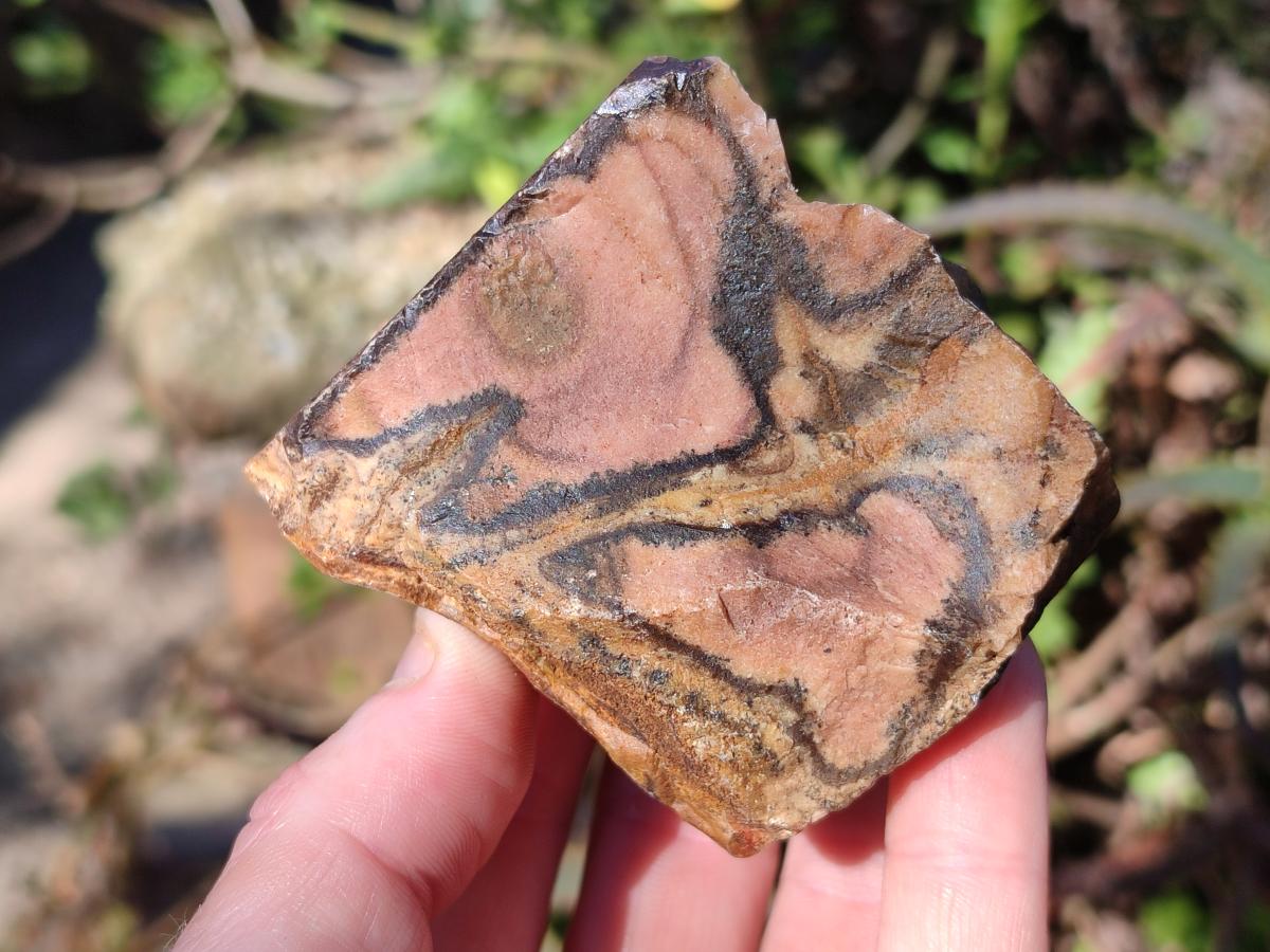 Natural Nguni Jasper Cobbed Specimens x 12 From Northern Cape, South Africa