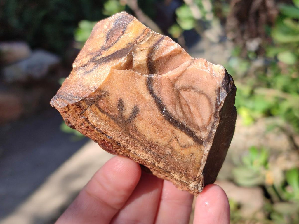 Natural Nguni Jasper Cobbed Specimens x 12 From Northern Cape, South Africa