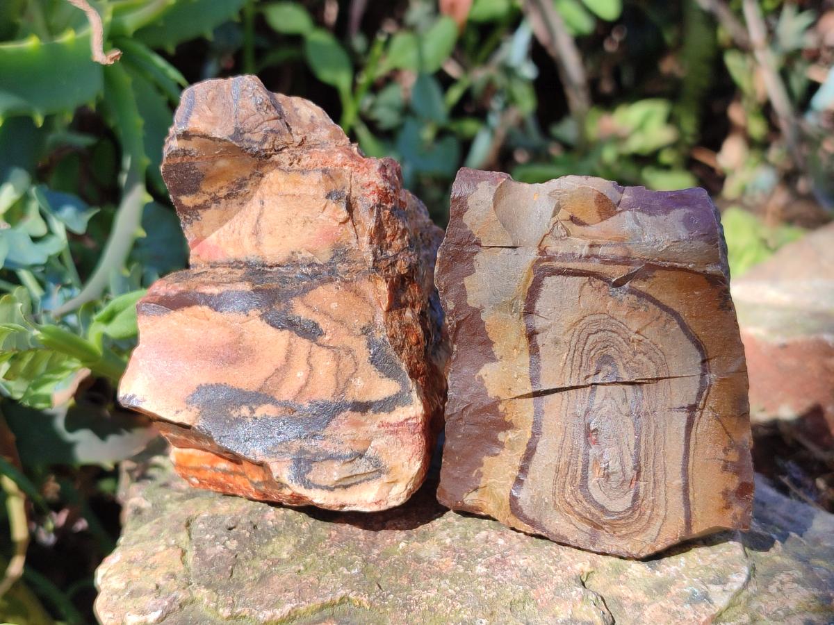 Natural Nguni Jasper Cobbed Specimens x 12 From Northern Cape, South Africa