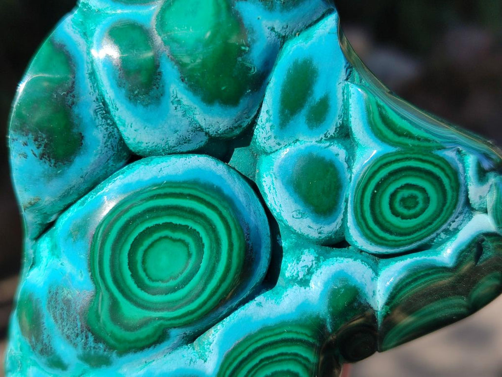 Polished and Natural Malacolla Free Forms x 3 From Kulukuluku, Congo