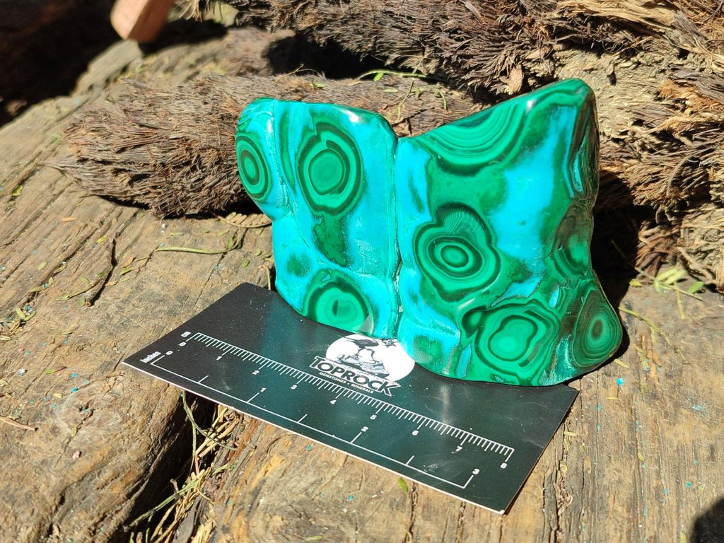 Polished and Natural Malacolla Free Forms x 3 From Kulukuluku, Congo
